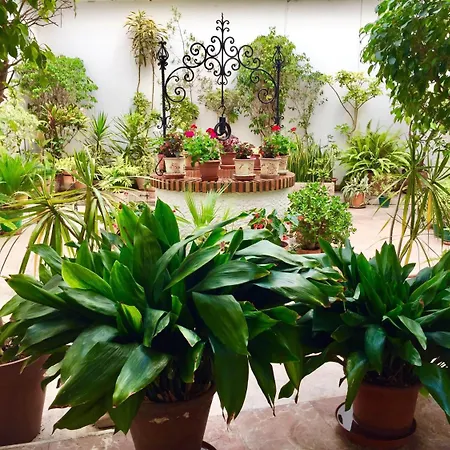 Solroom (adults Only) 3*