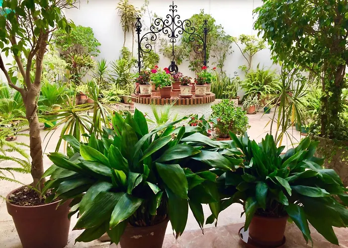 Solroom (adults Only) 3*